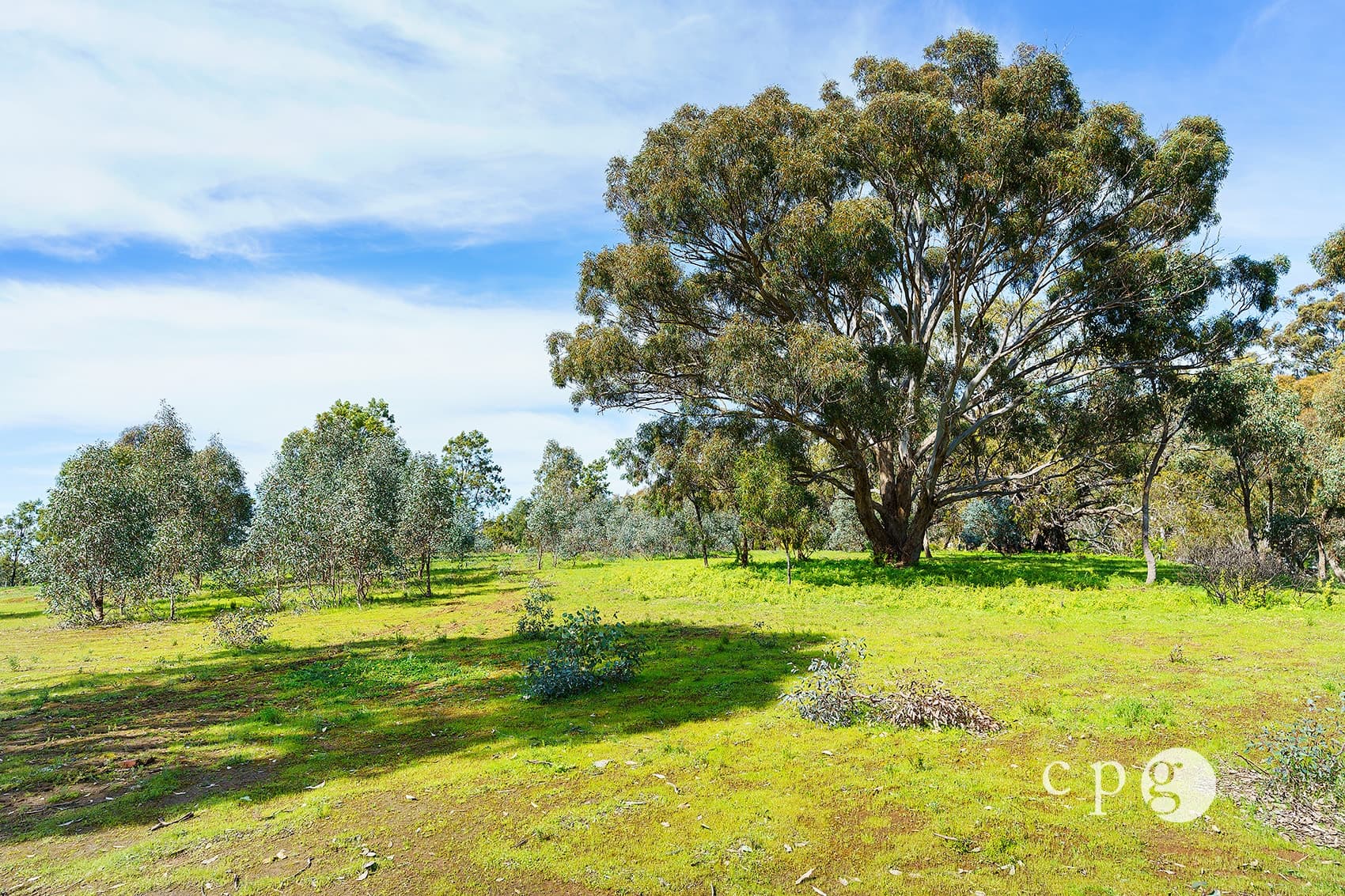 26 Mt Tarrengower Road, MALDON, VIC 3463, Maldon - Thumbnail 8