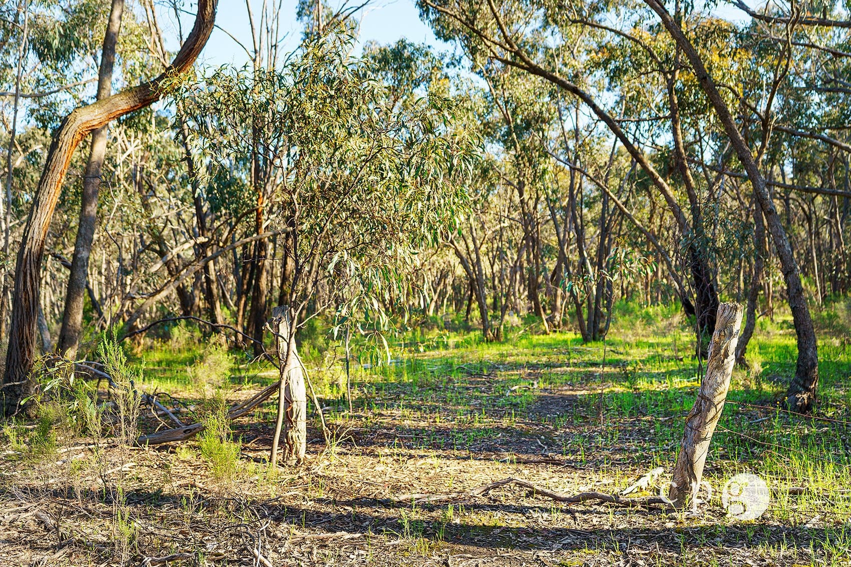 65 Sparks Road, CHEWTON, VIC 3451, Chewton - Thumbnail 2