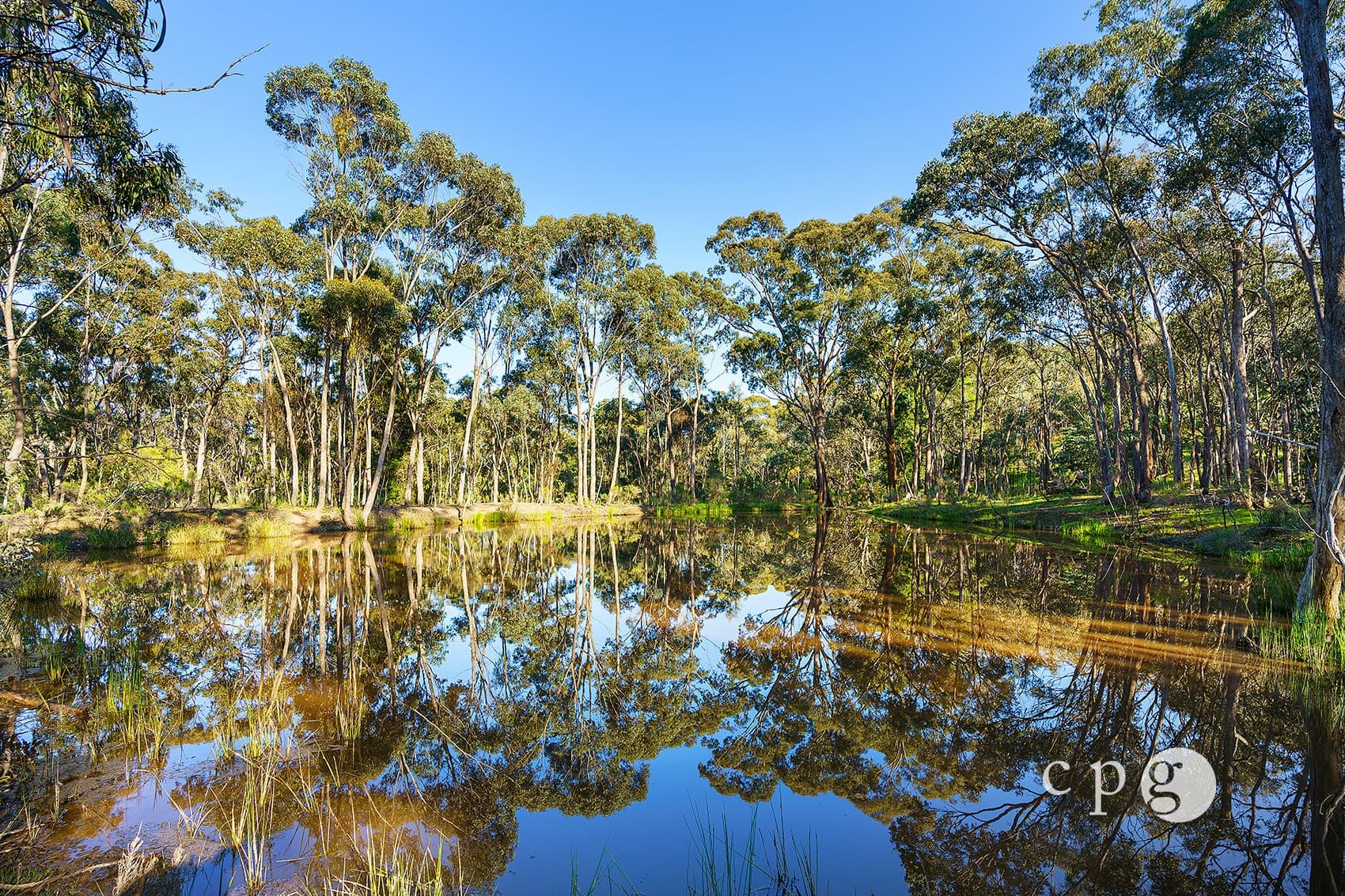 65 Sparks Road, CHEWTON, VIC 3451, Chewton - Thumbnail 3
