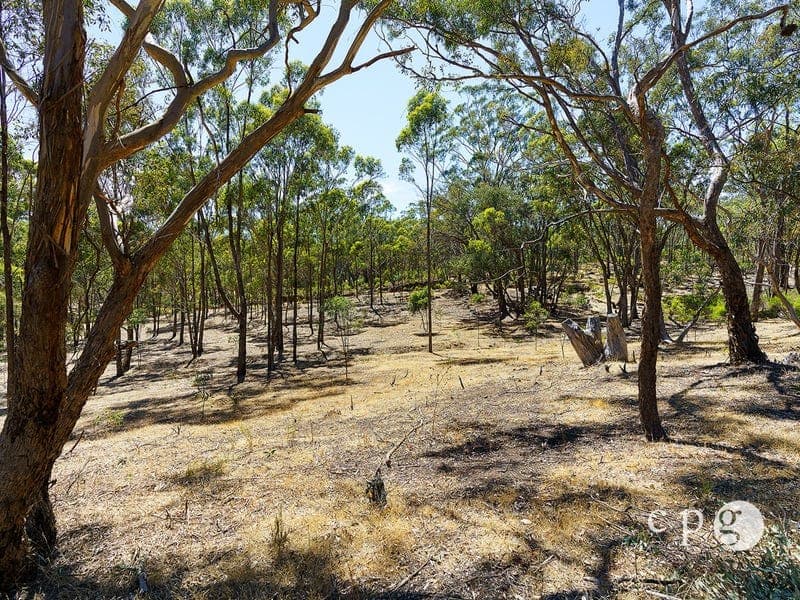 46 Prestidge Lane, FRYERSTOWN, VIC 3451, Fryerstown - Thumbnail 4