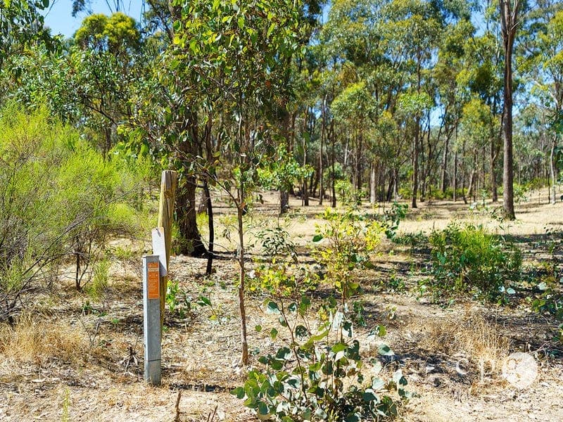 46 Prestidge Lane, FRYERSTOWN, VIC 3451, Fryerstown - Thumbnail 6