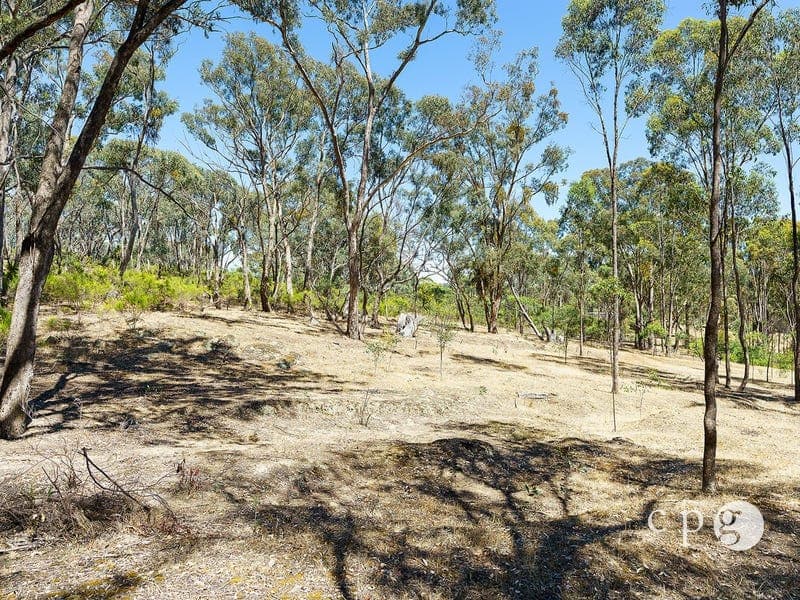 46 Prestidge Lane, FRYERSTOWN, VIC 3451, Fryerstown - Thumbnail 7