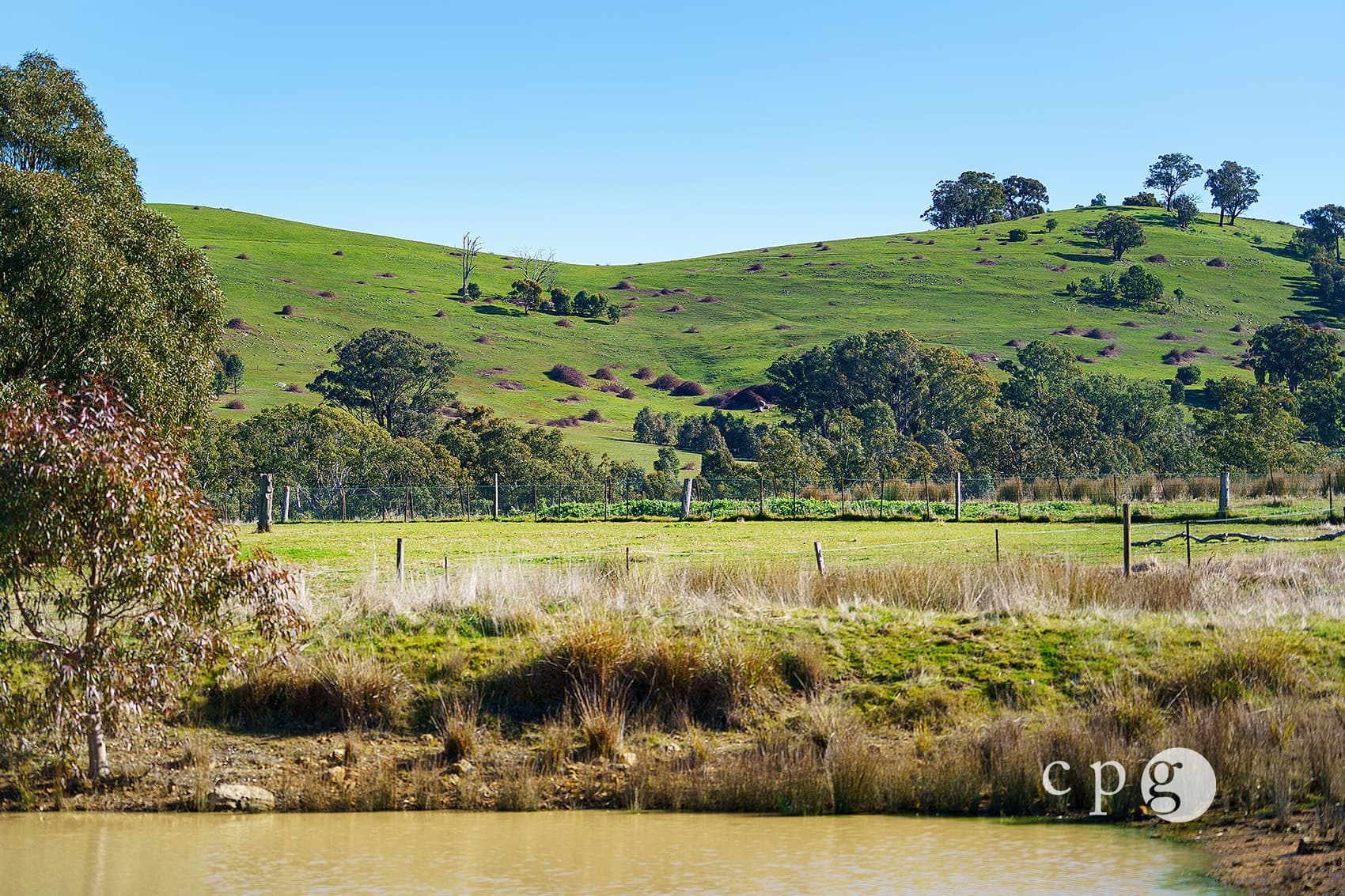2999 Harmony Way, FARADAY, VIC 3451, Faraday - Thumbnail 4