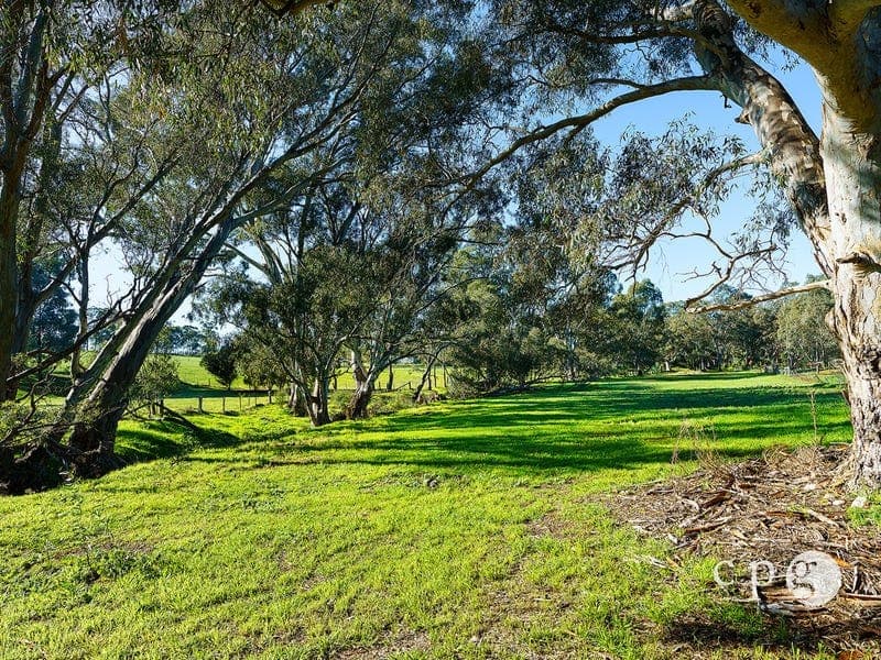 1 Clyde Street, NEWSTEAD, VIC 3462, Newstead - Thumbnail 5