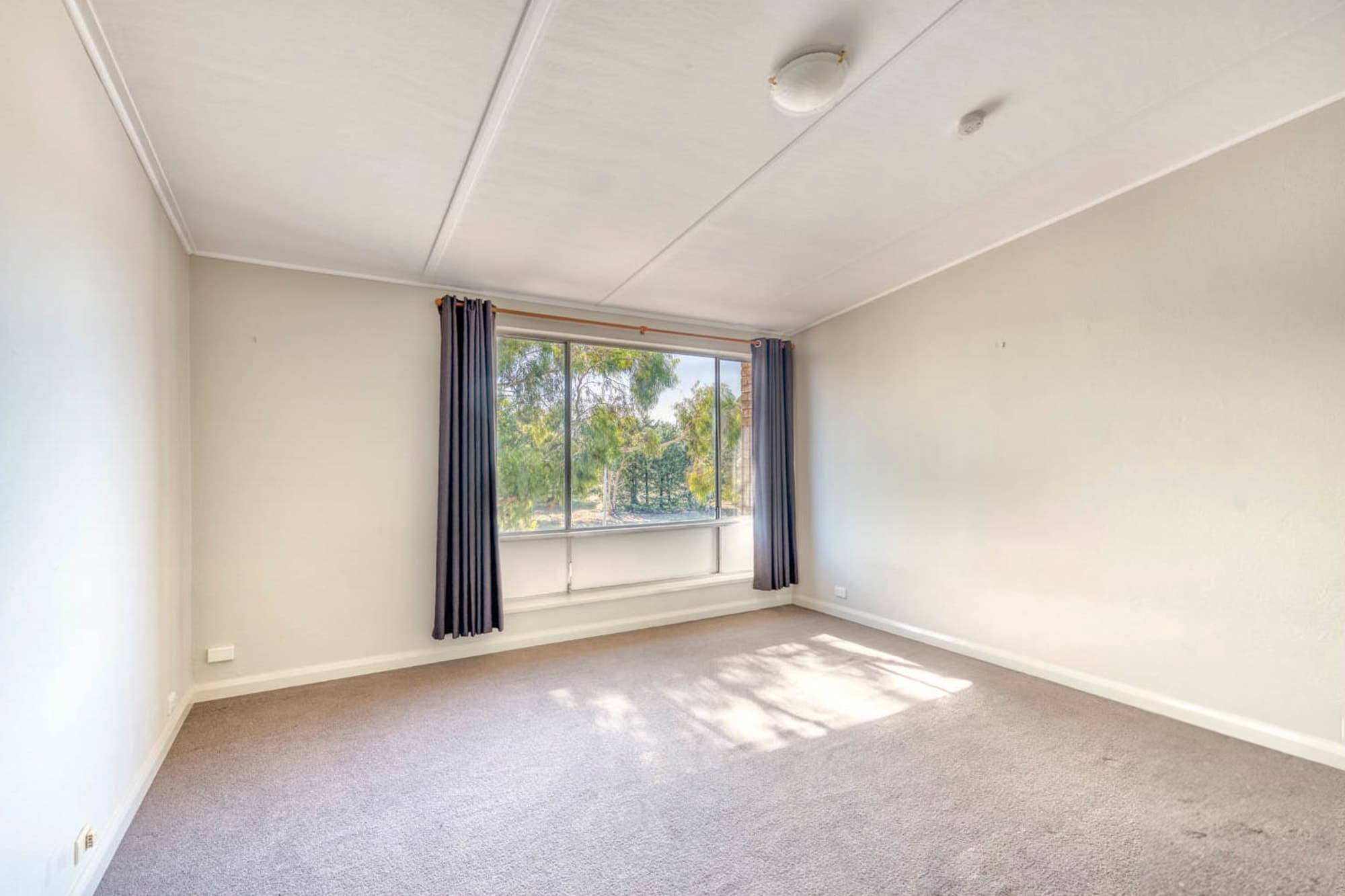 29/1 McCulloch Street, Curtin ACT 2605, Curtin - Thumbnail 4