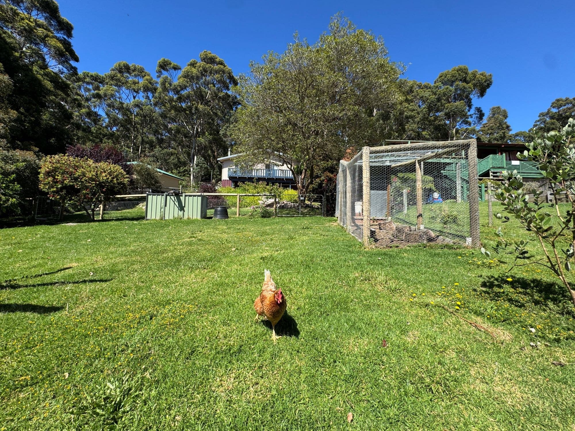 31 Bracknell Crescent, Denmark, WA, Denmark - Thumbnail 3