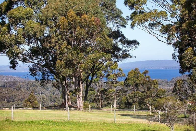 7 Wishart Place, Denmark, WA, Denmark - Thumbnail 3