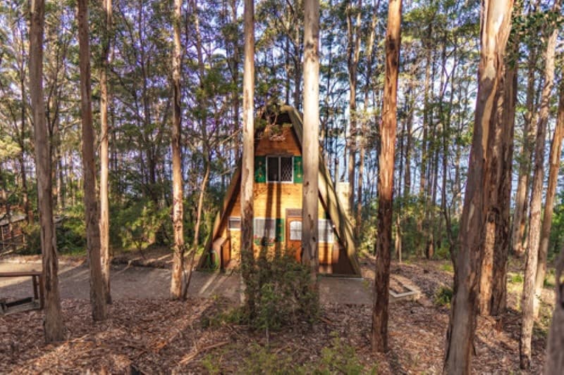 21 Payne Road, Denmark, WA, Denmark - Thumbnail 2