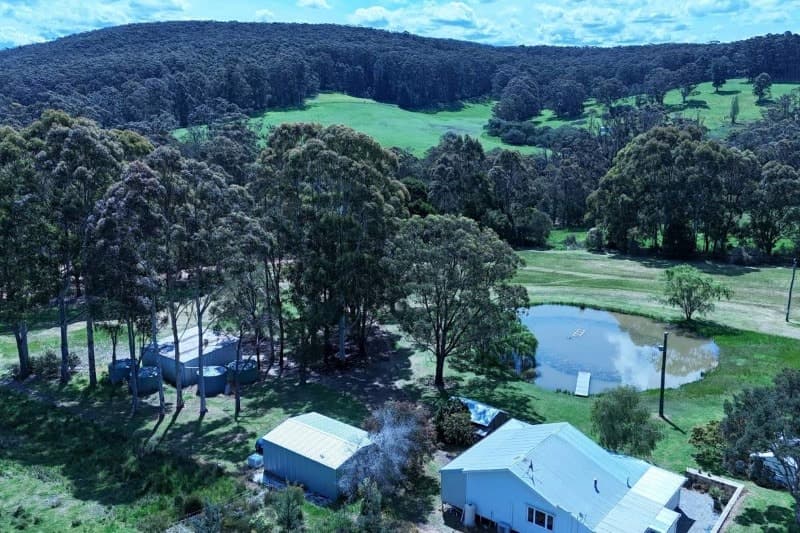 7 Walter Road, Scotsdale, WA, Scotsdale - Thumbnail 4