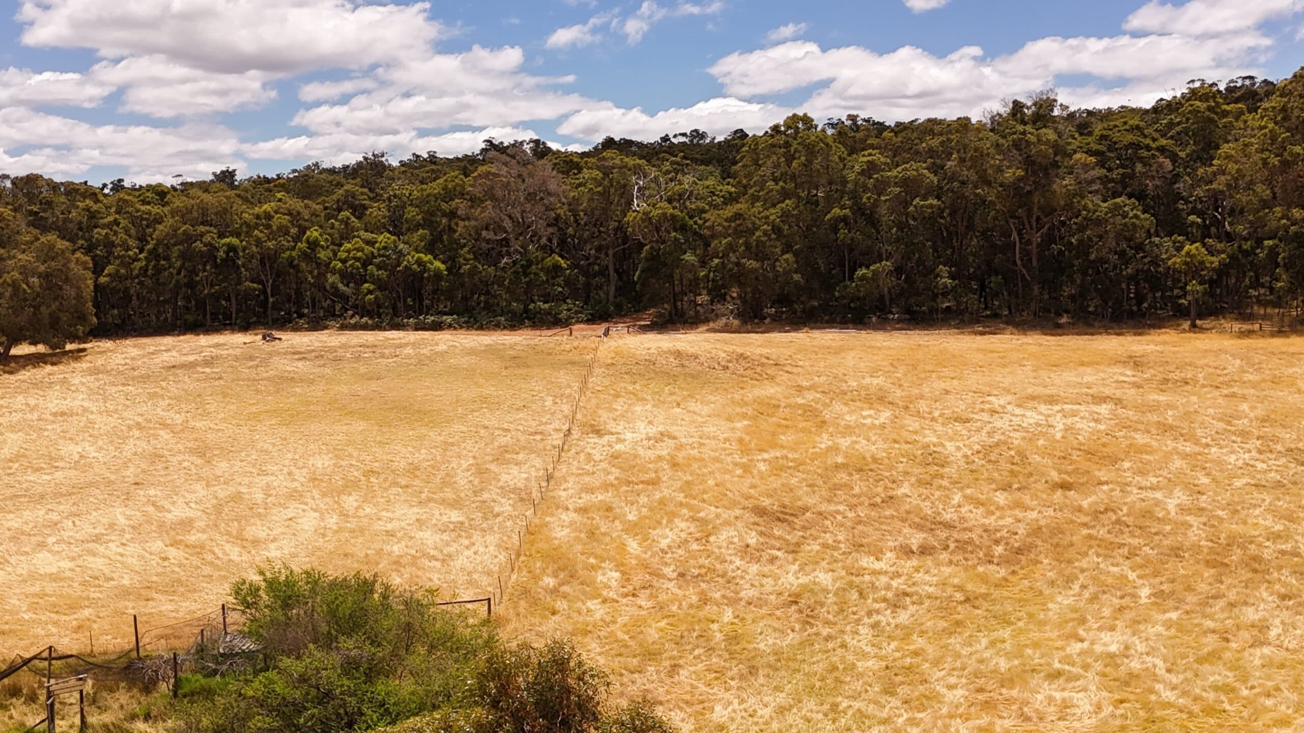 57 Old School Road, Scotsdale, WA, Scotsdale - Thumbnail 5