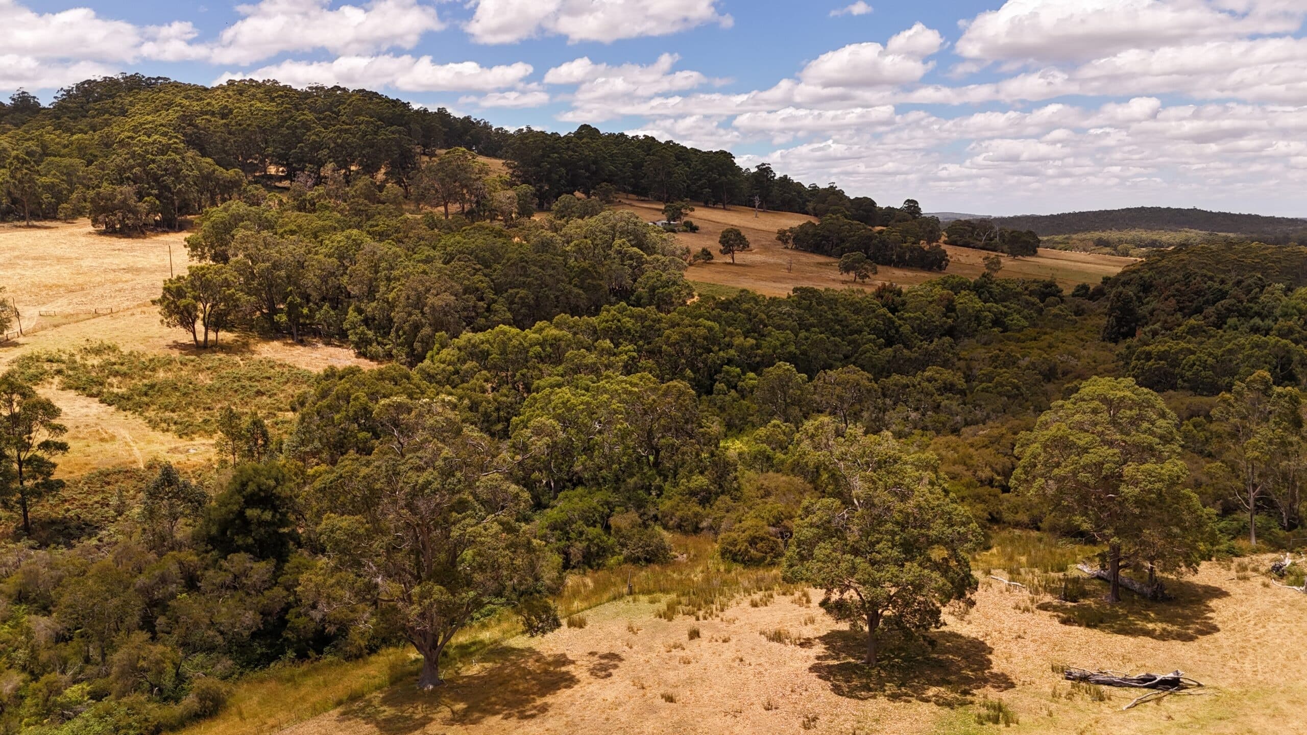 57 Old School Road, Scotsdale, WA, Scotsdale - Thumbnail 8