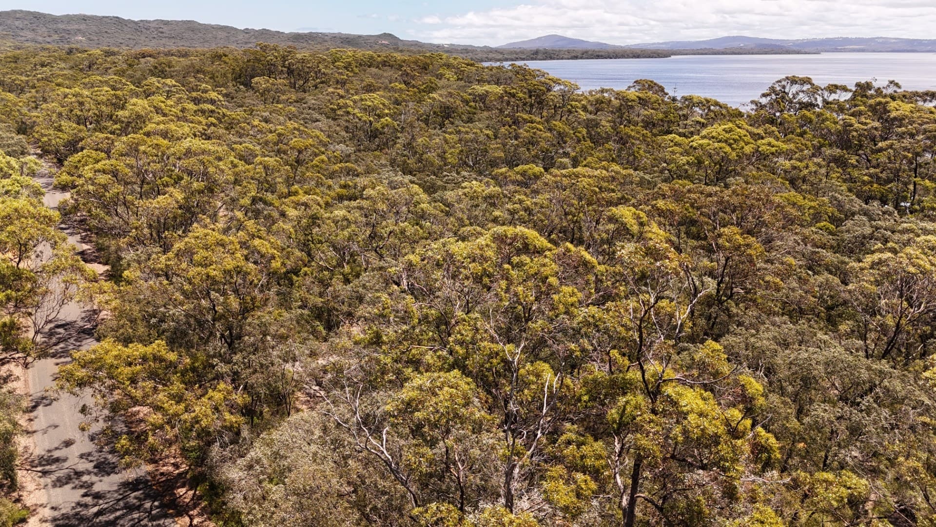 Lot 146 Eden Road Nullaki 6330 (corner Rockliff Circle), WA, Nullaki 6330 (Corner Rockliff Circle) - Thumbnail 4