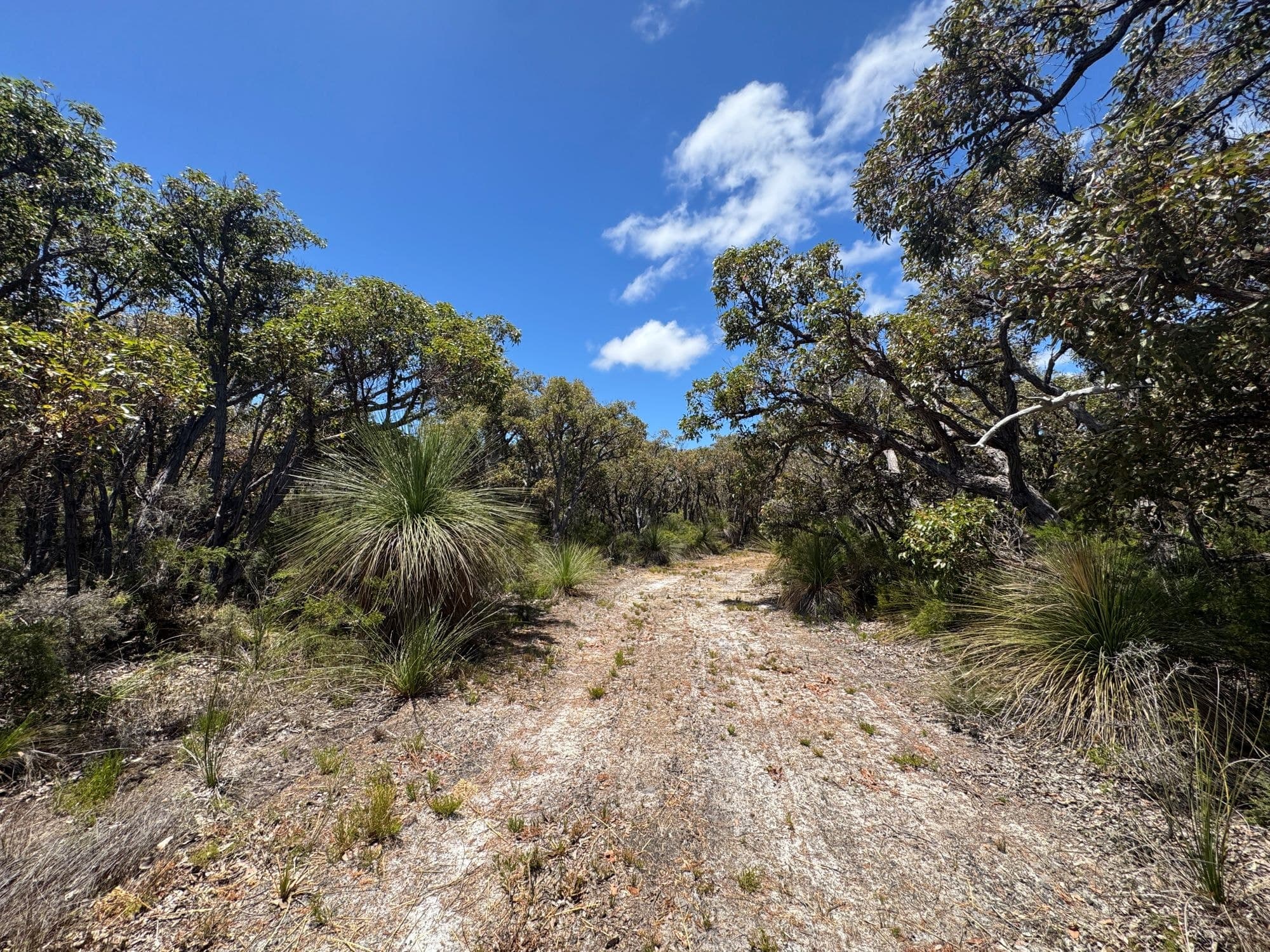 Lot 146 Eden Road Nullaki 6330 (corner Rockliff Circle), WA, Nullaki 6330 (Corner Rockliff Circle) - Thumbnail 5
