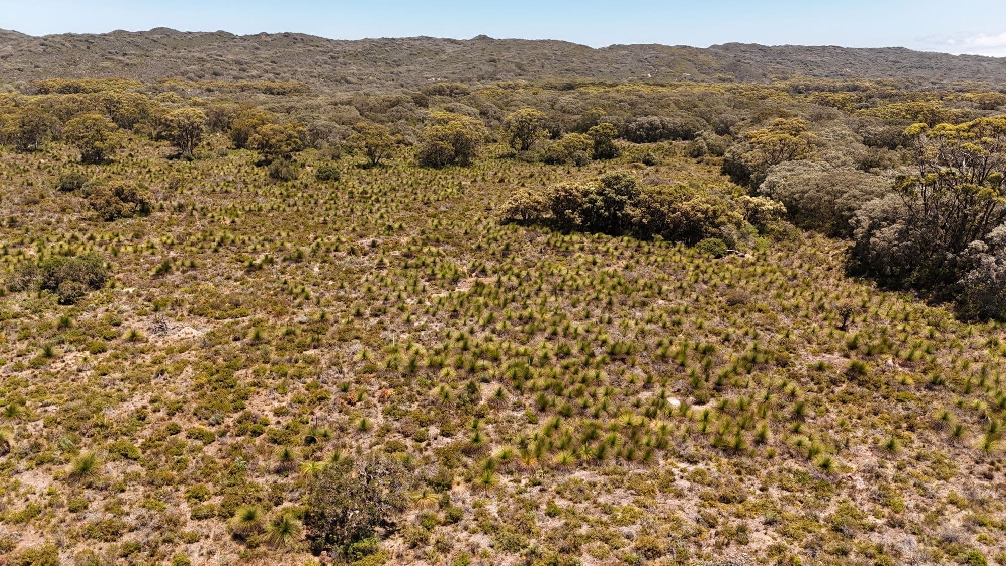 Lot 146 Eden Road Nullaki 6330 (corner Rockliff Circle), WA, Nullaki 6330 (Corner Rockliff Circle) - Thumbnail 7