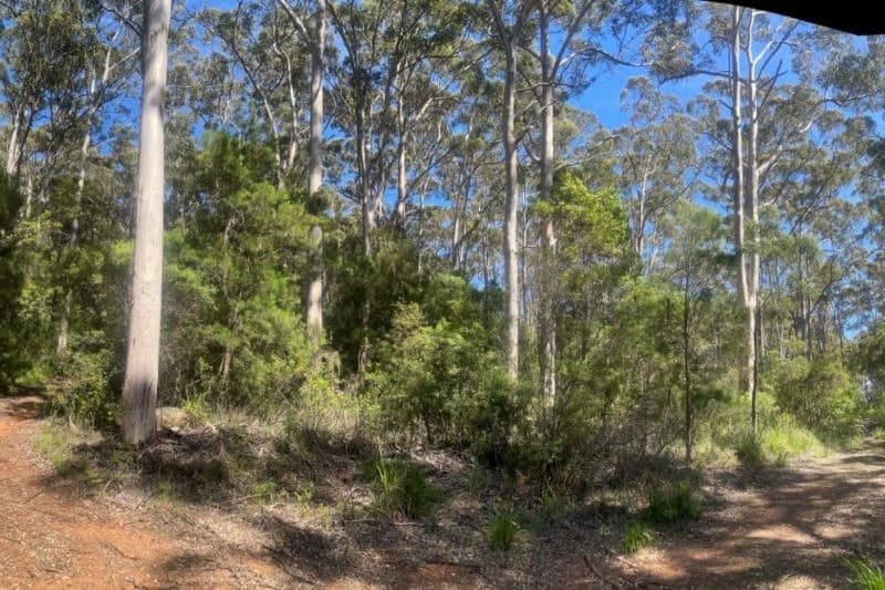 254 Silver Road, Scotsdale, WA, Scotsdale - Thumbnail 2