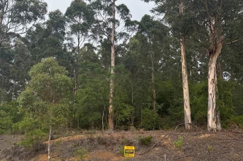 26 Mill Place, Shadforth, WA, Shadforth - Thumbnail 5