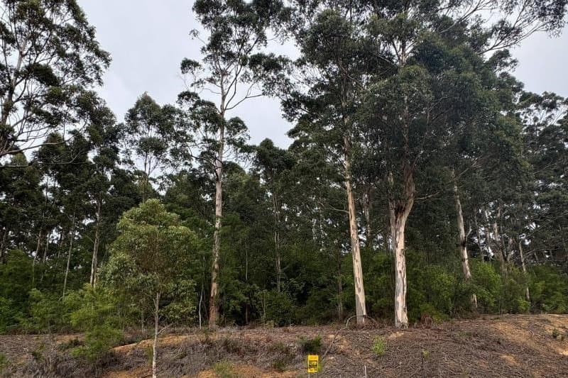 26 Mill Place, Shadforth, WA, Shadforth - Thumbnail 6