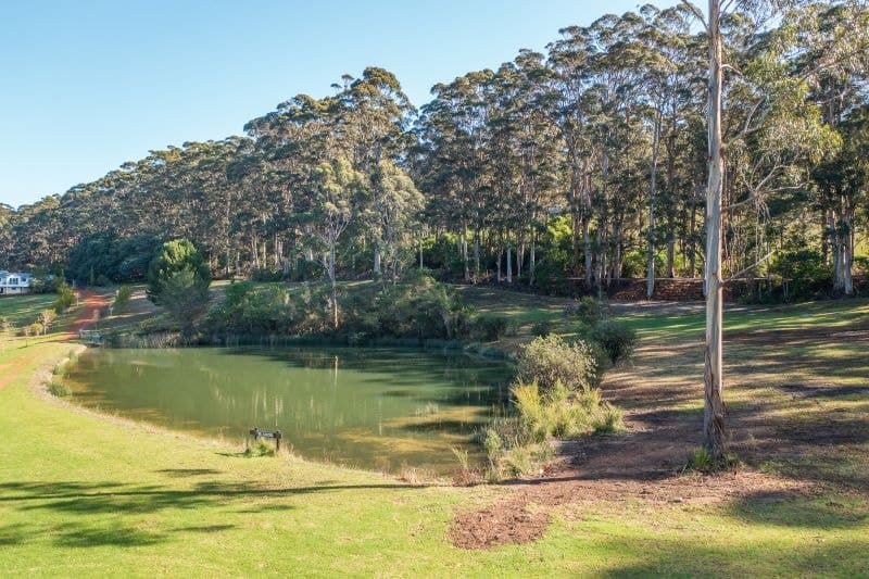 101 Mount Shadforth Road, Denmark, WA, Denmark - Thumbnail 4