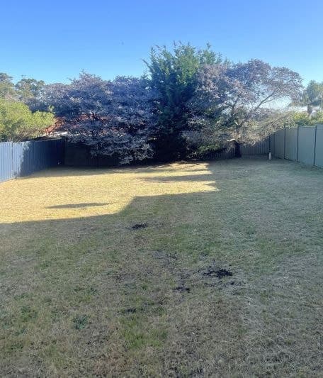 2A Powley Street, Denmark, WA, Denmark - Thumbnail 2