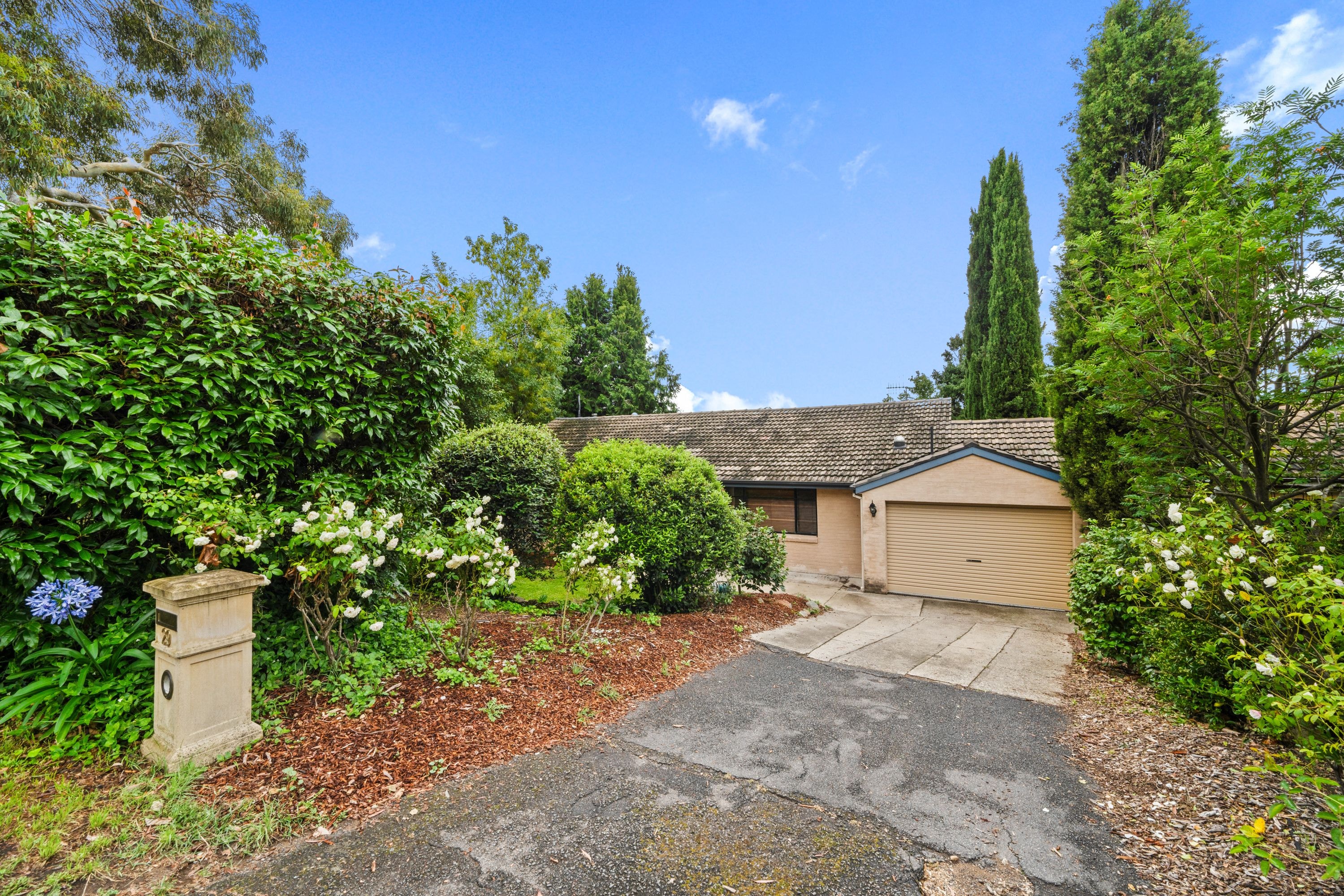 29 Dalrymple Street, Narrabundah ACT 2604, Narrabundah - Image 1