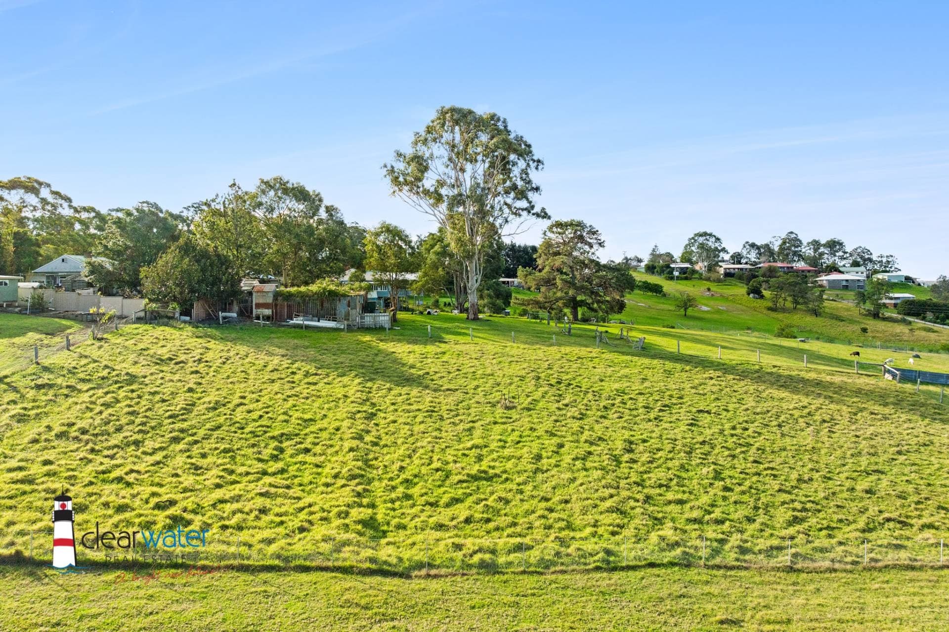 215 Araluen Road, Moruya - Thumbnail 5