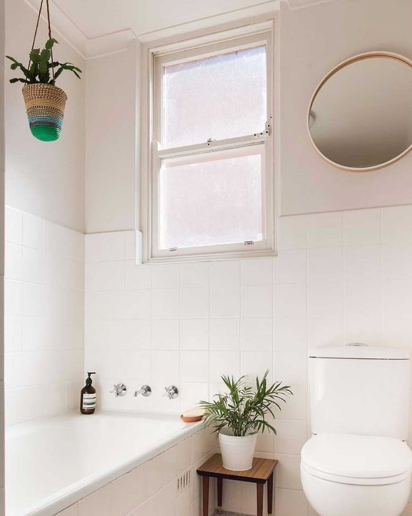 2/3 Constitution Road Dulwich Hill, Hill - Thumbnail 8