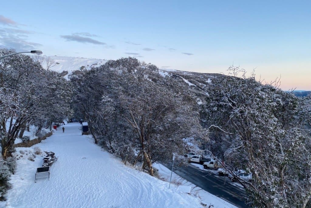 5/29 Bogong High Plains Road, Falls Creek - Thumbnail 8