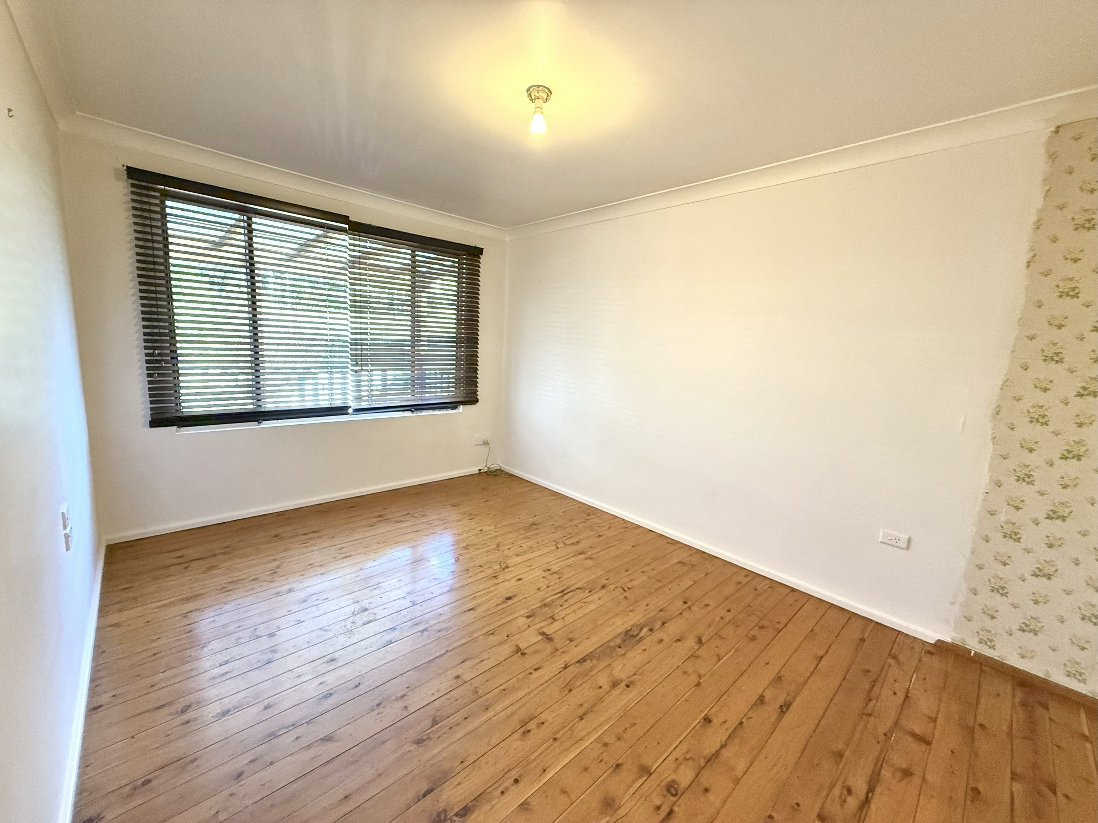 37 Scenic Drive, Budgewoi NSW 2262, Budgewoi - Thumbnail 5