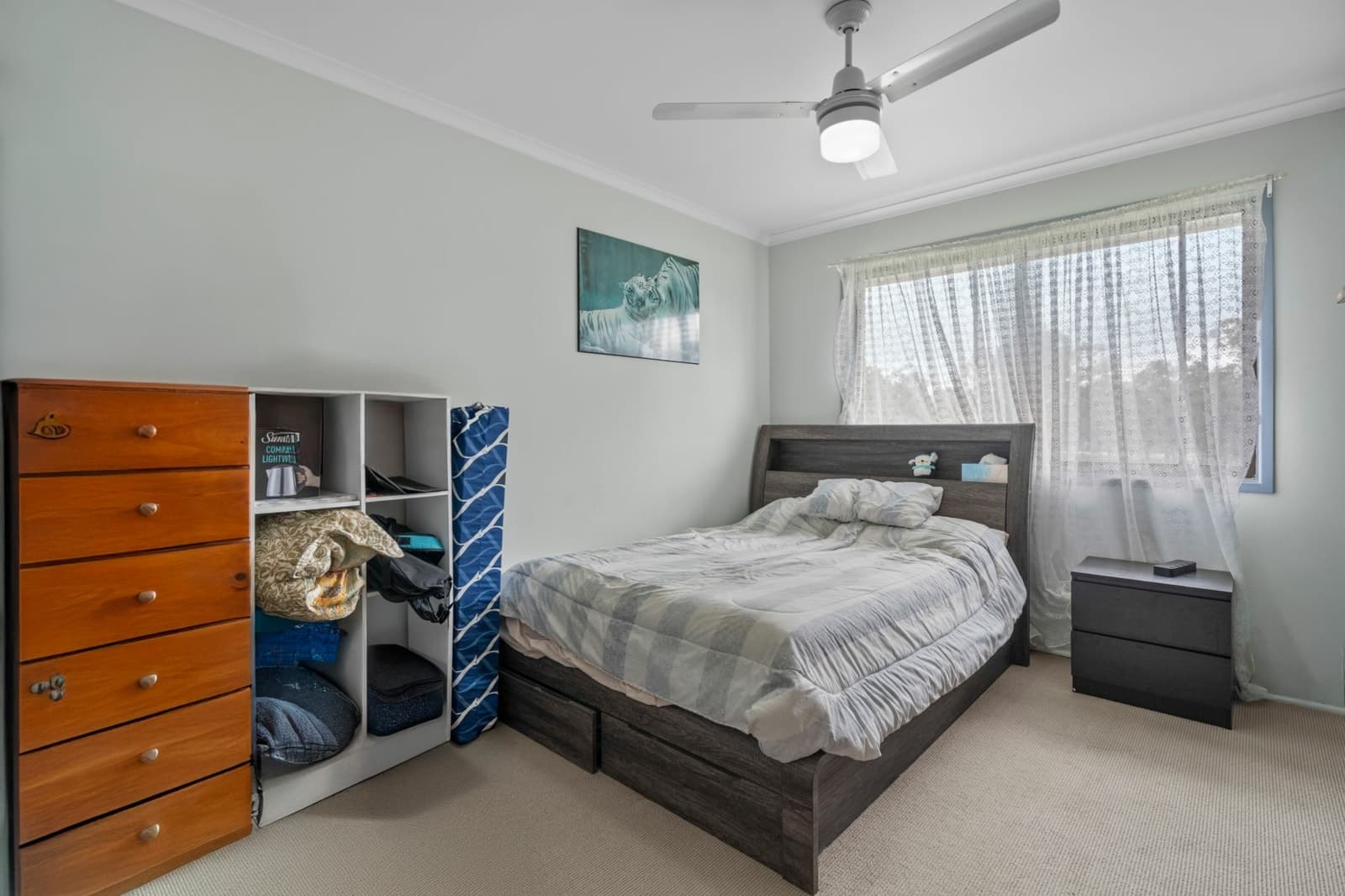 10 Melbury Street, WILLOWBANK, Willowbank - Thumbnail 7