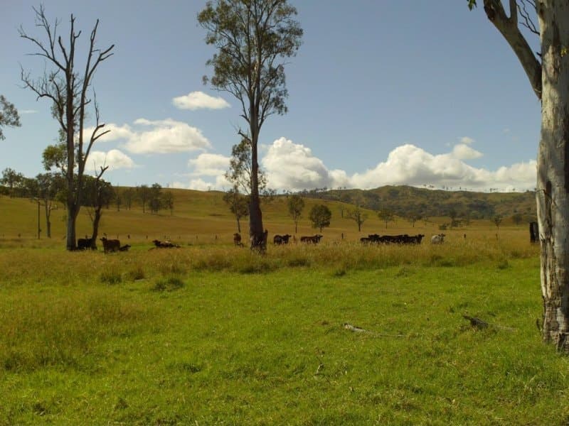 1 Glandore Road, Laravale - Thumbnail 6