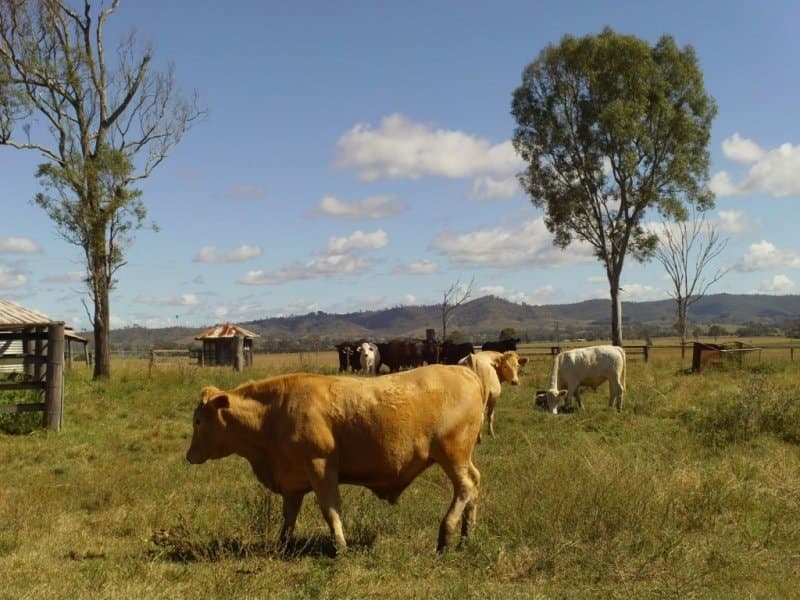 1 Glandore Road, Laravale - Thumbnail 8