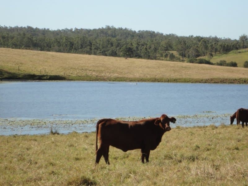 , BEAUDESERT, QLD 4285, Beaudesert - Thumbnail 5