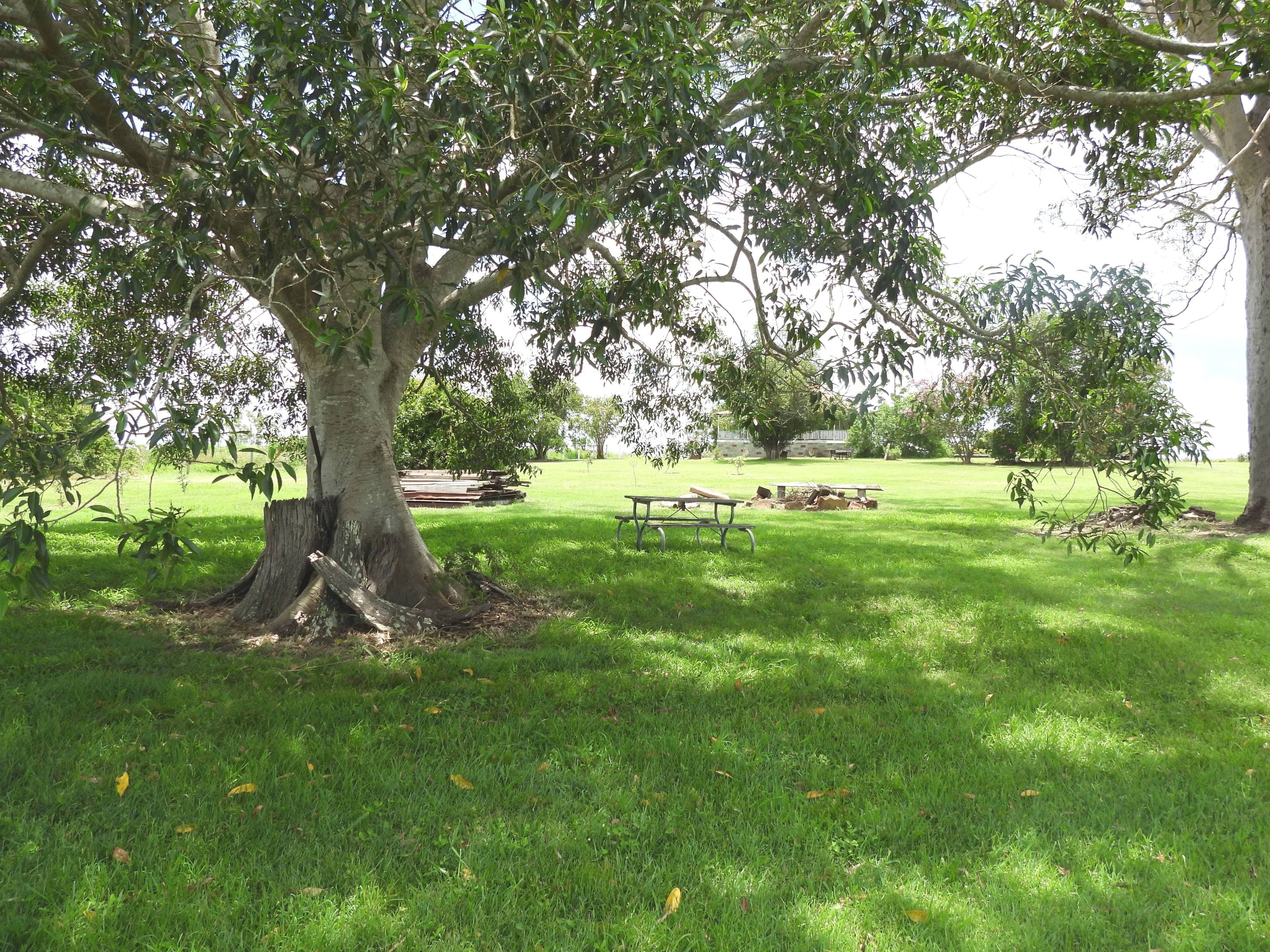 3882 Beaudesert-Nerang Rd, Tabragalba - Image 1