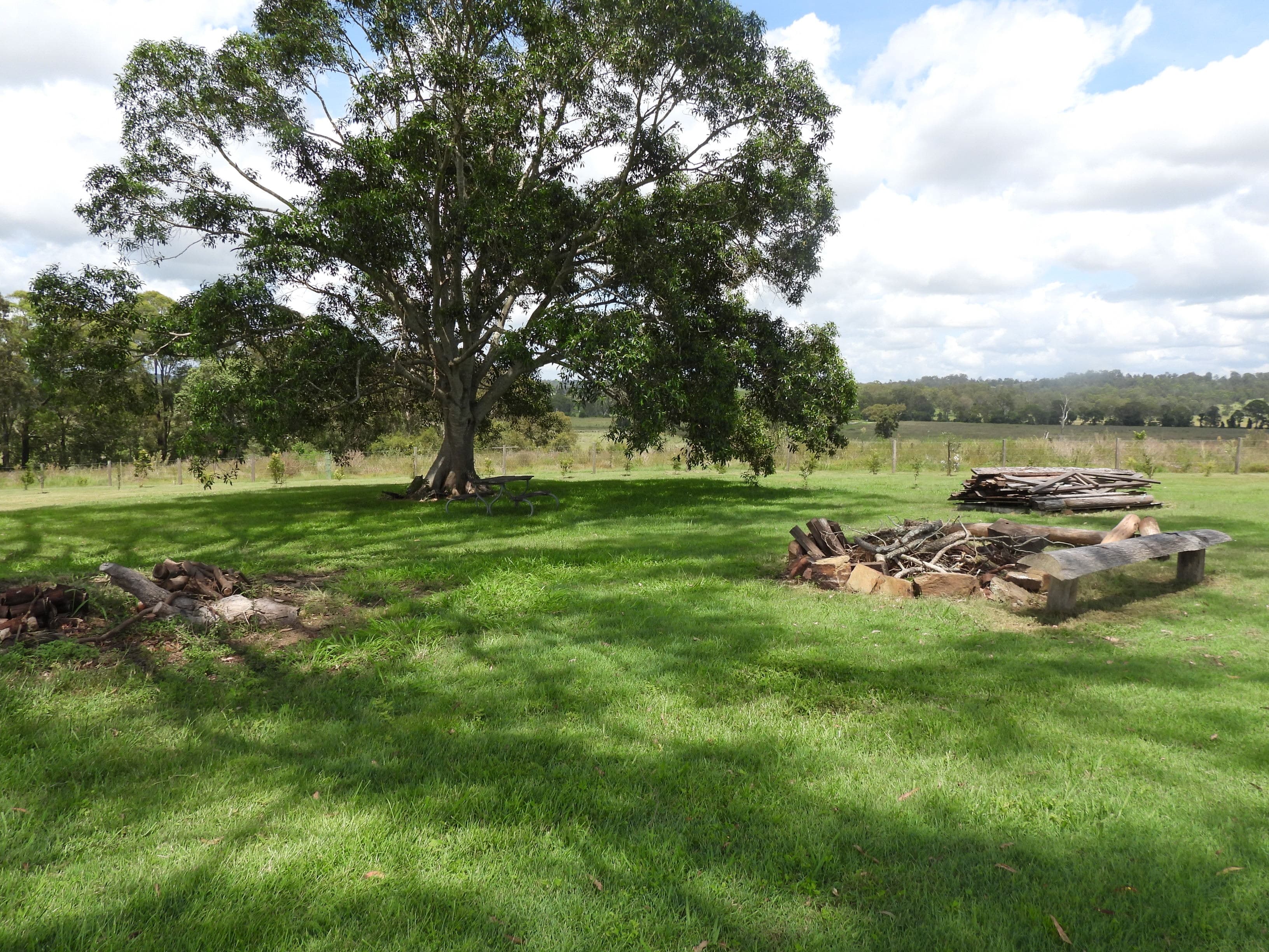 3882 Beaudesert-Nerang Rd, Tabragalba - Thumbnail 8