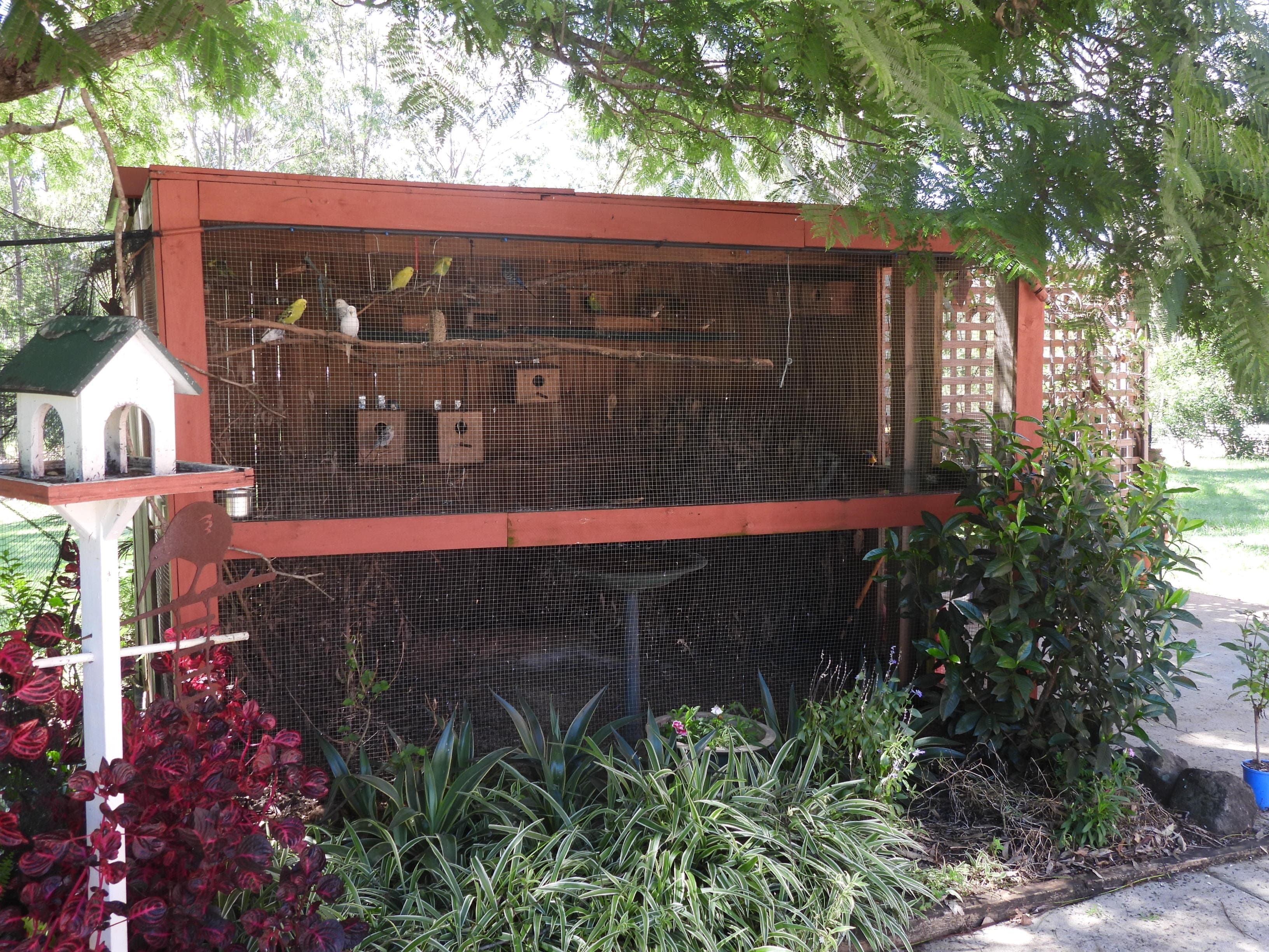 2-14 Beattie Road, Mundoolun - Thumbnail 5