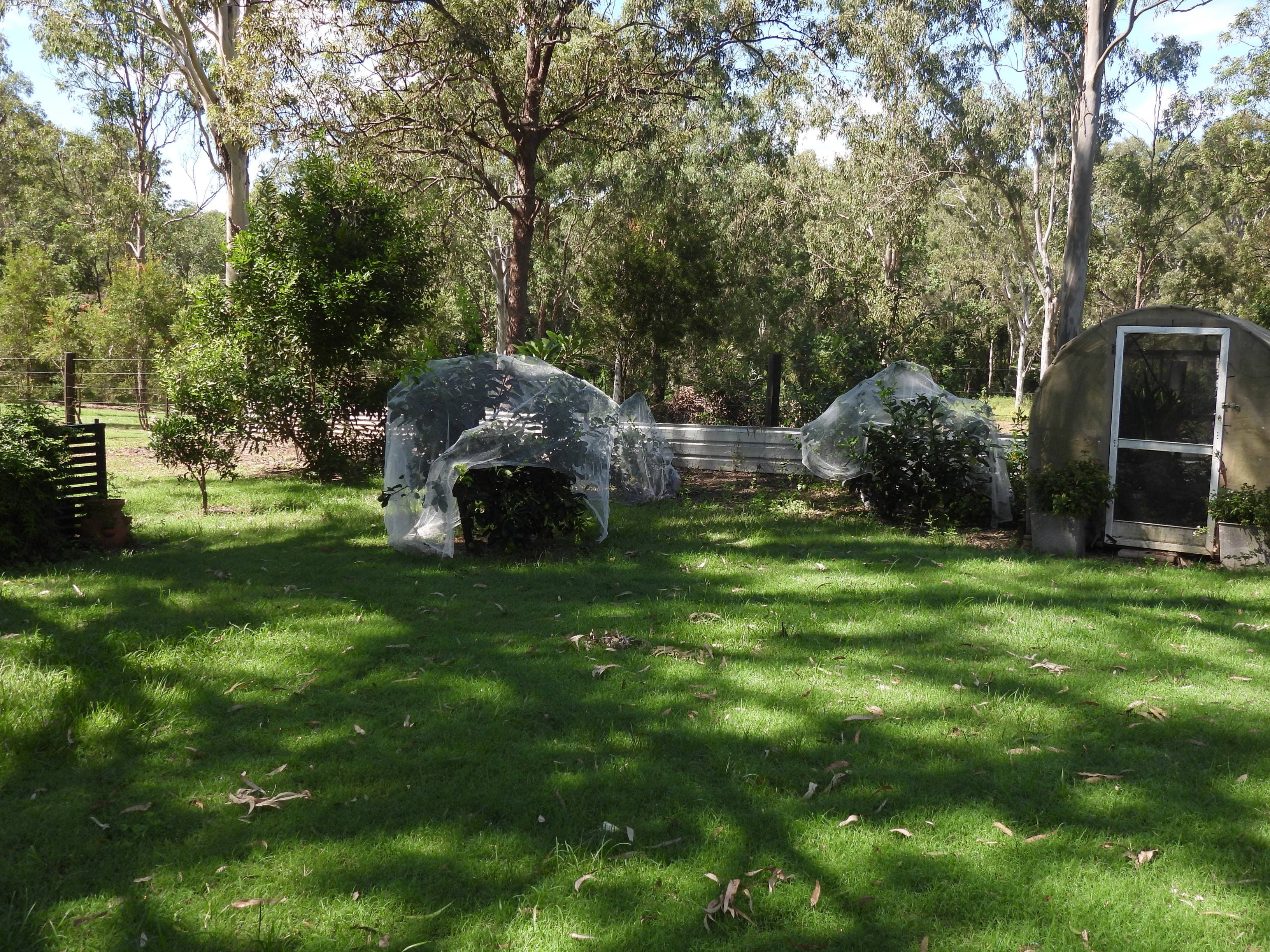 2-14 Beattie Road, Mundoolun - Thumbnail 6