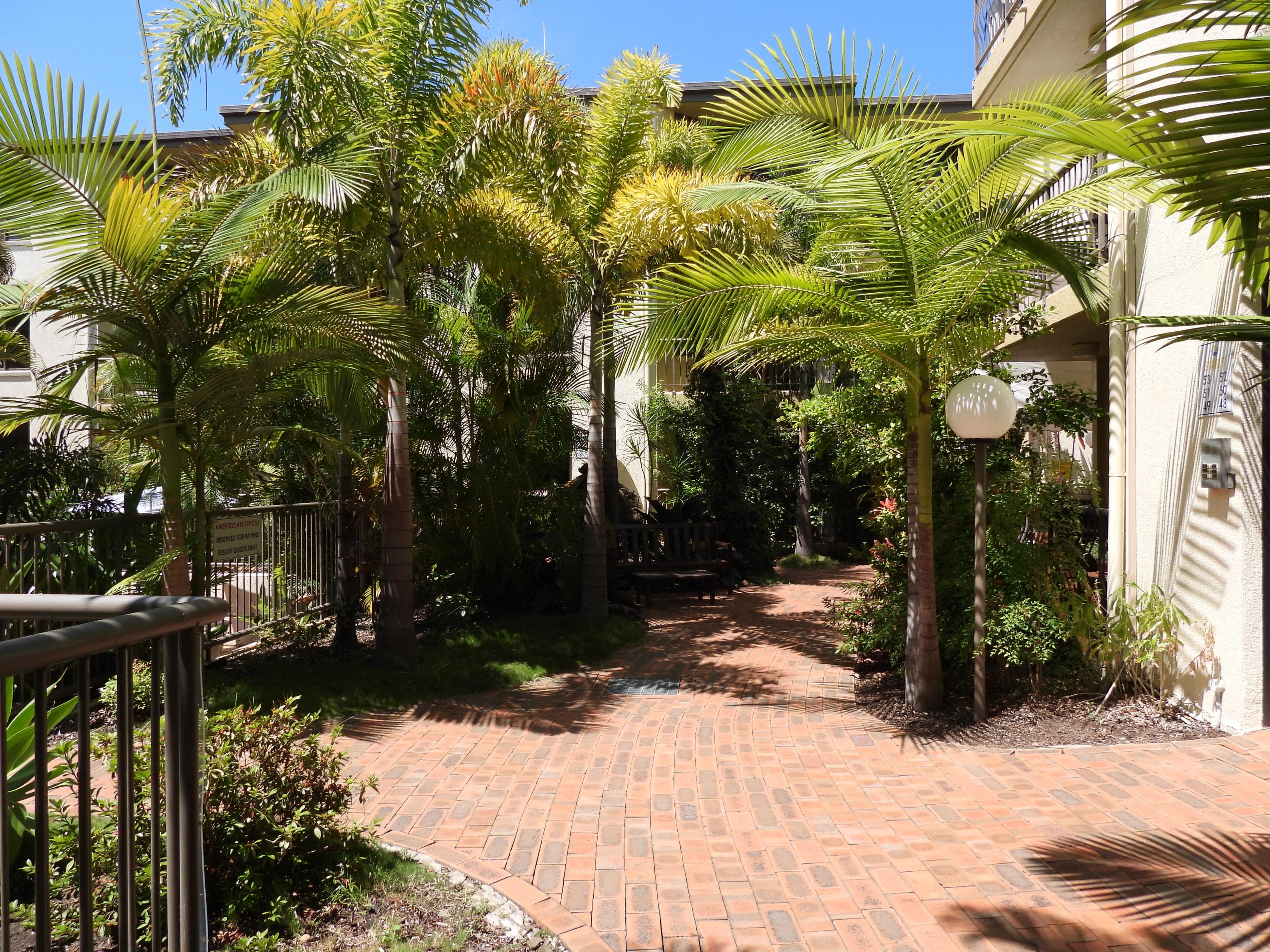 1197 Gold Coast Highway, Burleigh Heads - Thumbnail 5