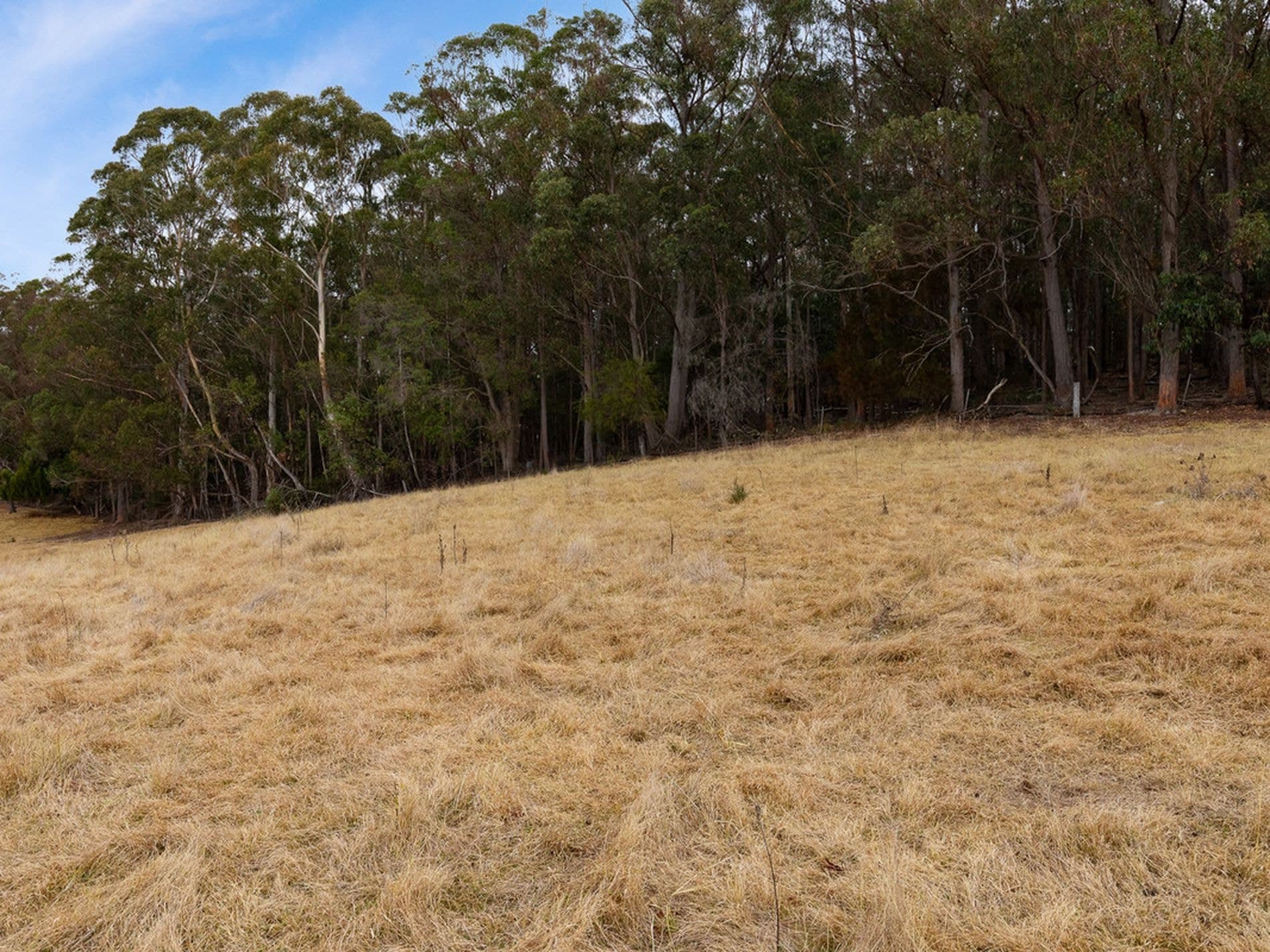 17 Eucalyptus Lane, Lochiel, Lochiel - Thumbnail 7