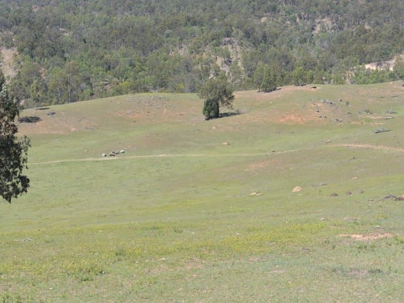 1023 Knapp Creek Rd, Knapp Creek - Thumbnail 5