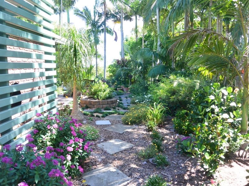 11 Corsa Street, Beaudesert - Thumbnail 5
