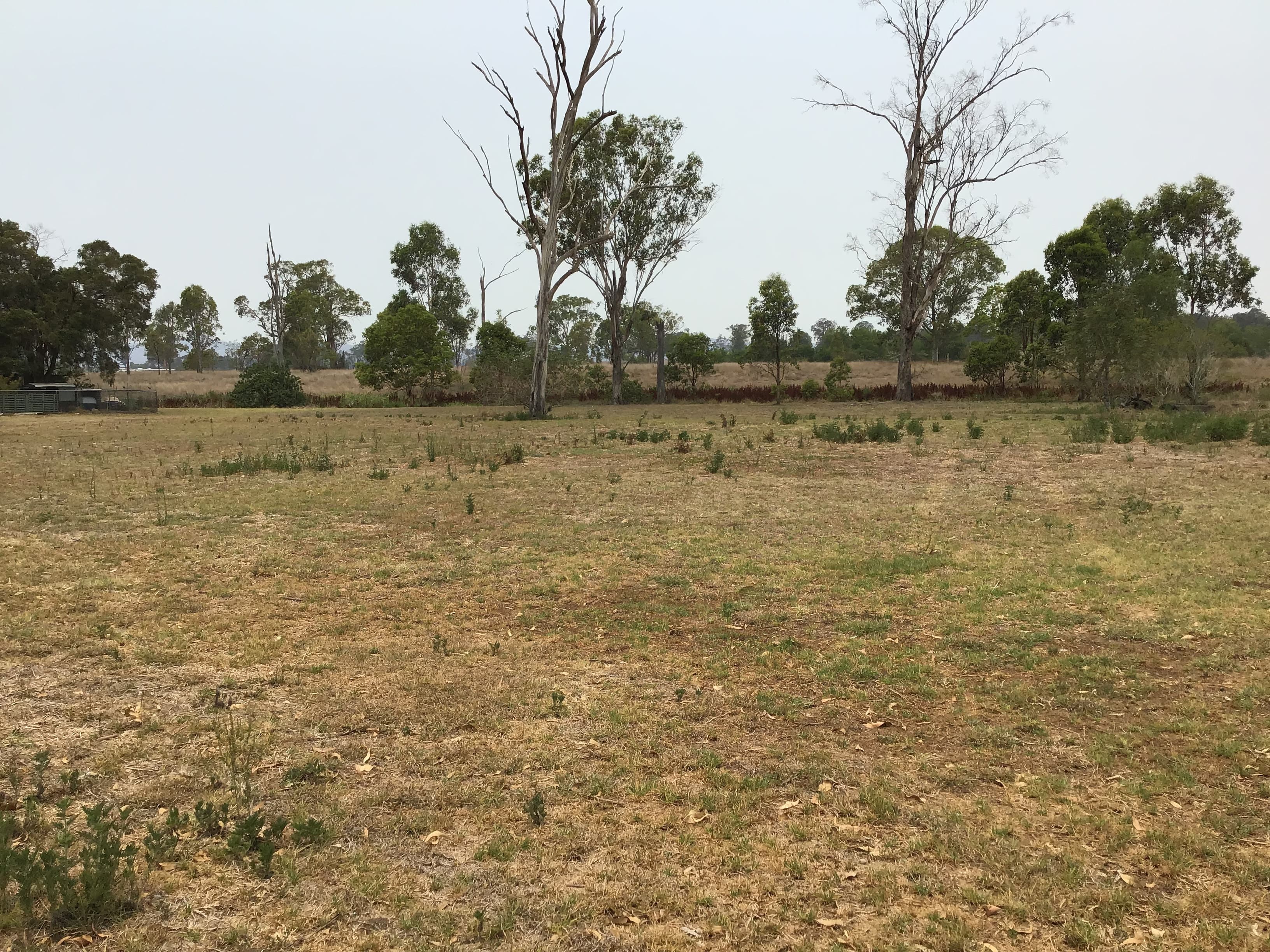 8-16 8-16 Brisbane St, Beaudesert - Thumbnail 2