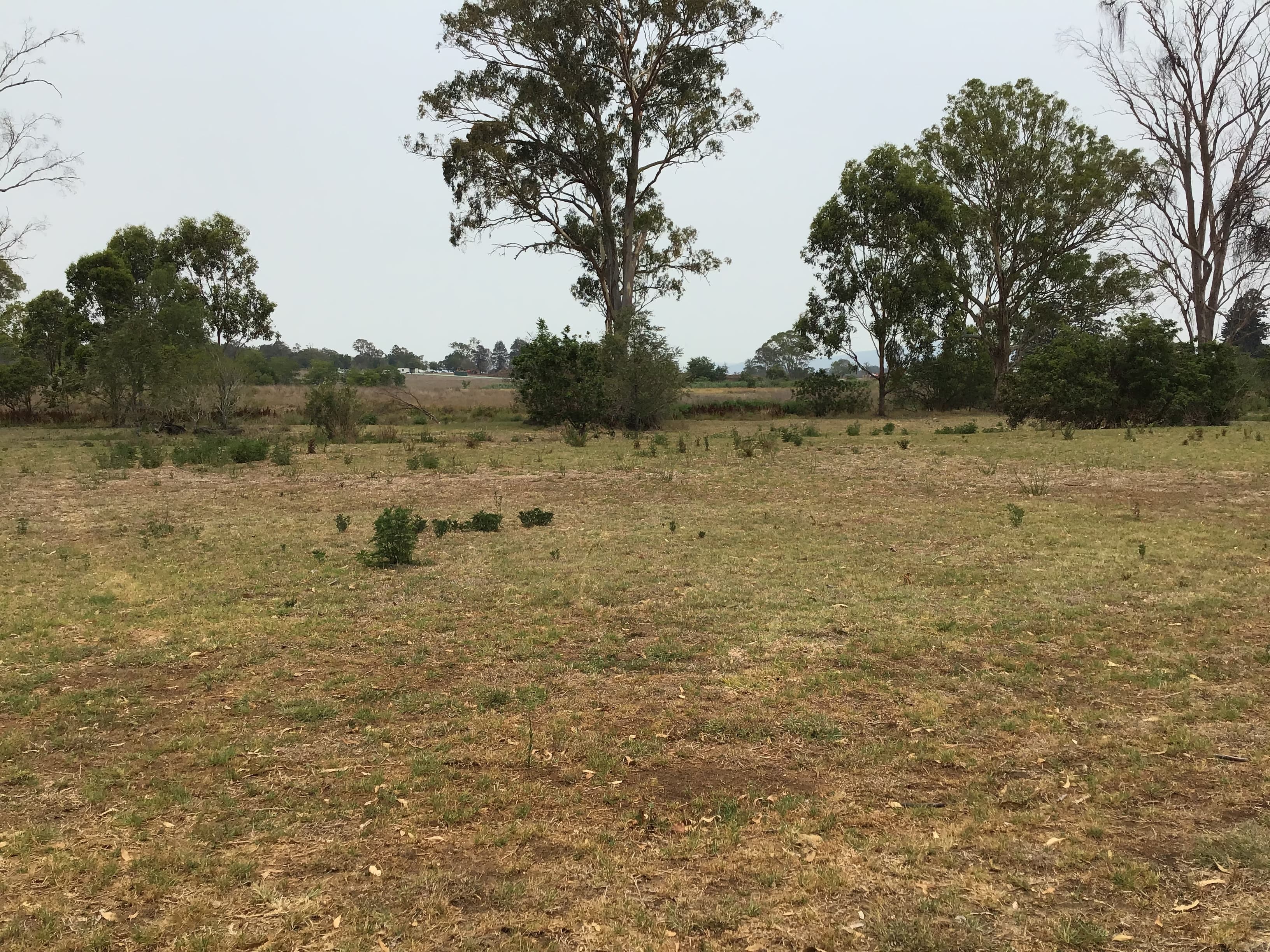 8-16 8-16 Brisbane St, Beaudesert - Thumbnail 3