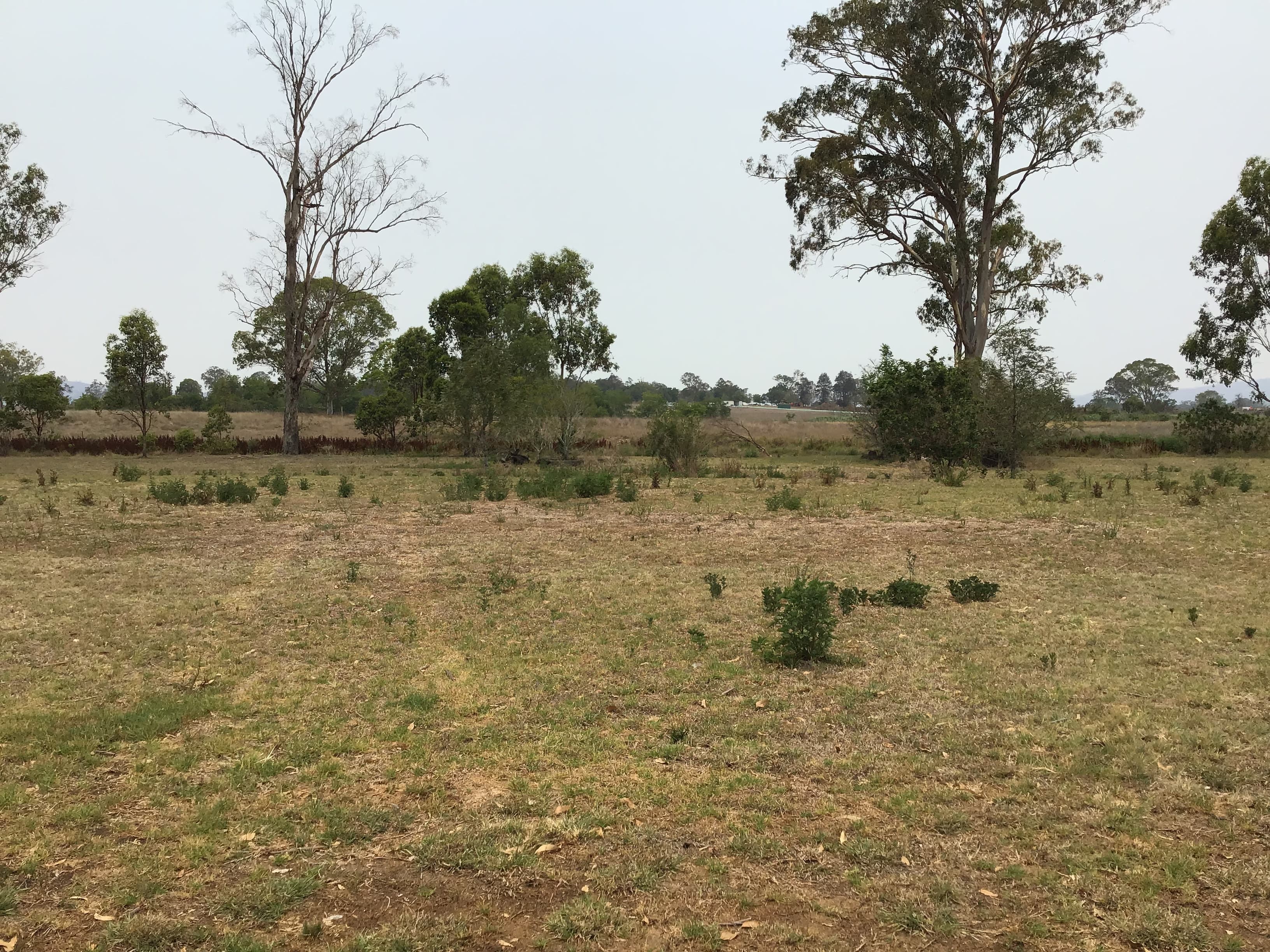 8-16 8-16 Brisbane St, Beaudesert - Thumbnail 5