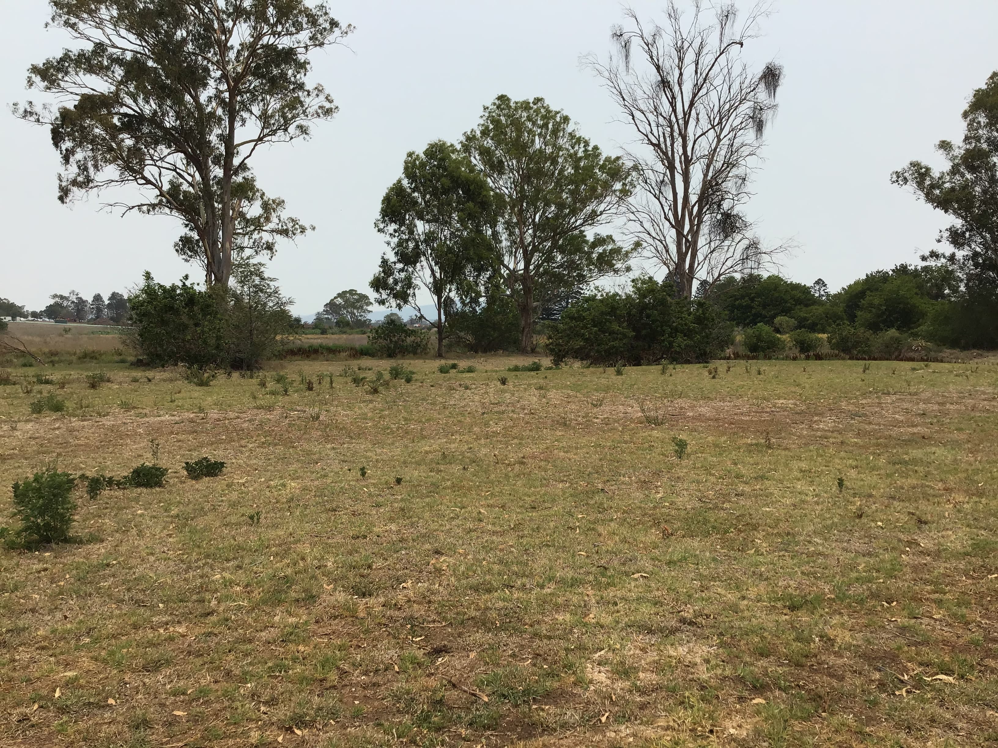 8-16 8-16 Brisbane St, Beaudesert - Thumbnail 7