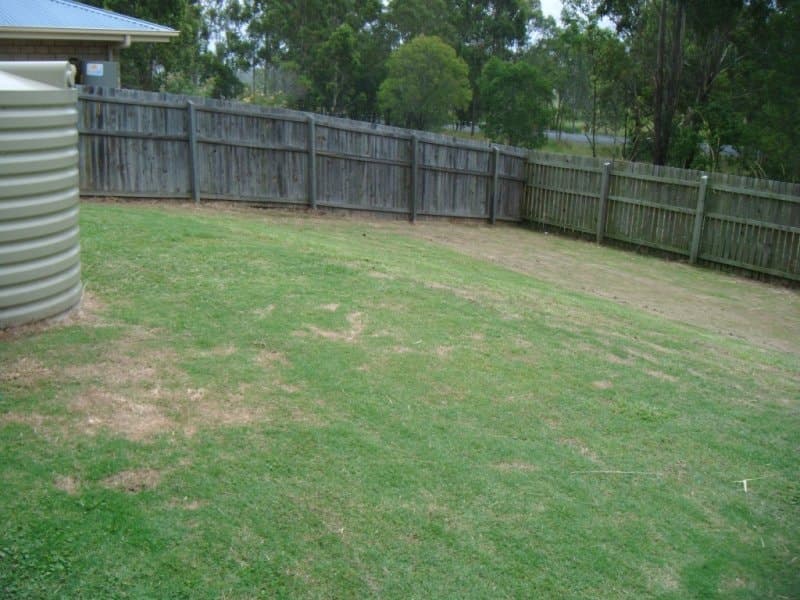 , BEAUDESERT, QLD 4285, Beaudesert - Thumbnail 8