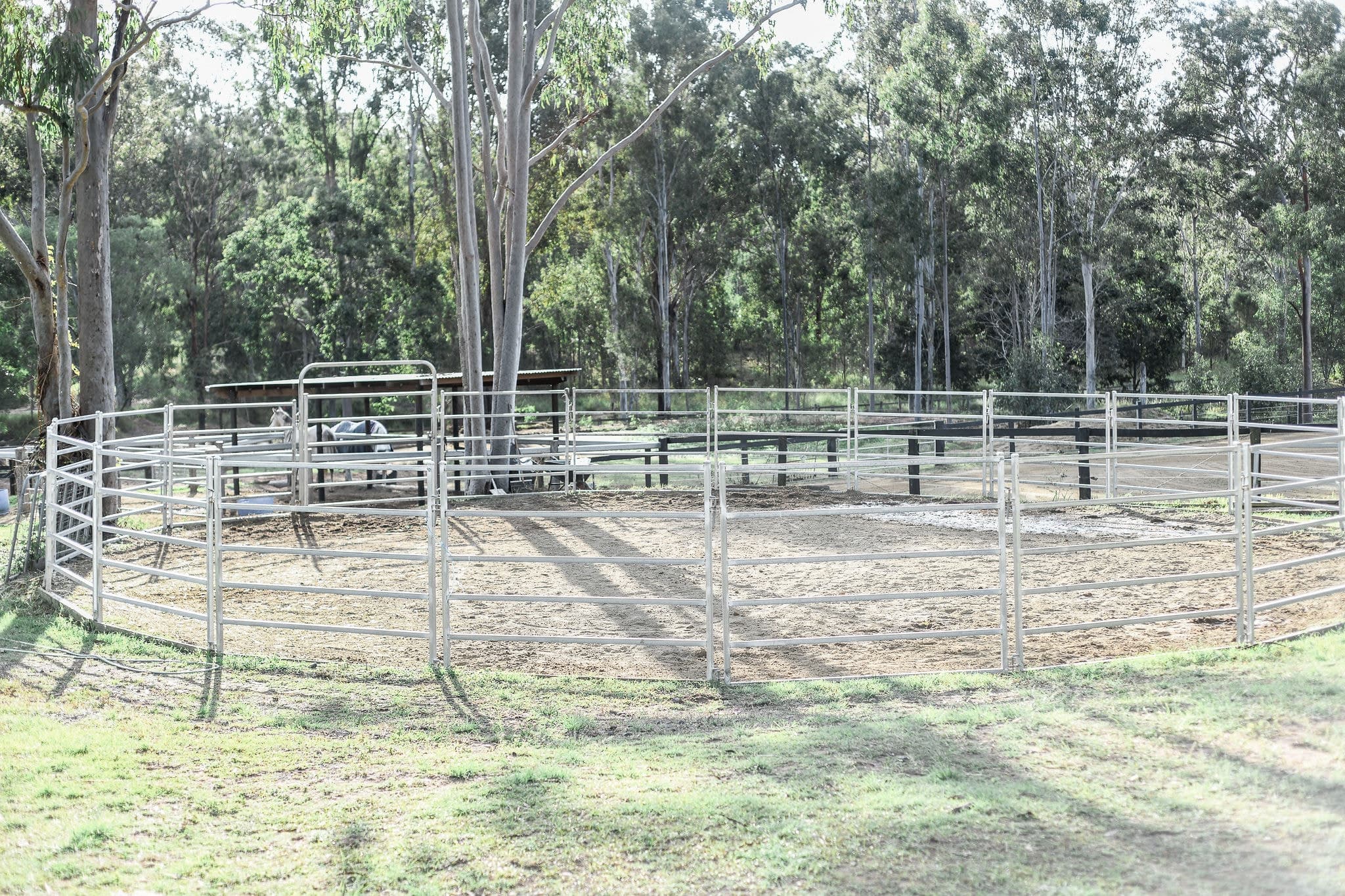 50 NASH ROAD, Jimboomba - Thumbnail 8