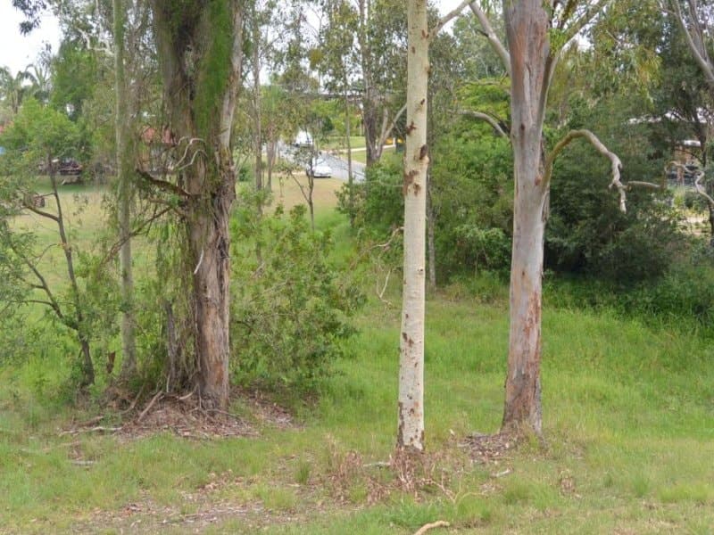 35-37 35-37 Tubber Street, Beaudesert - Image 1
