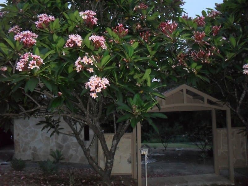 , BEAUDESERT, QLD 4285, Beaudesert - Image 1
