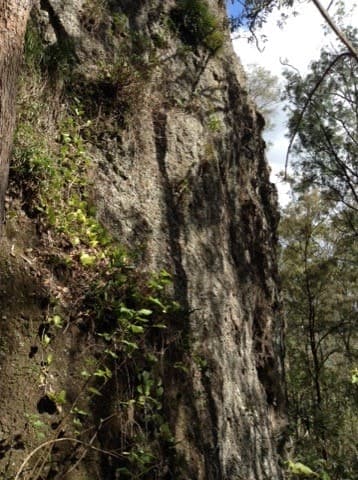 3291 Christmas Creek Rd, Christmas Creek - Thumbnail 2