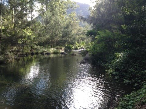 3291 Christmas Creek Rd, Christmas Creek - Thumbnail 3